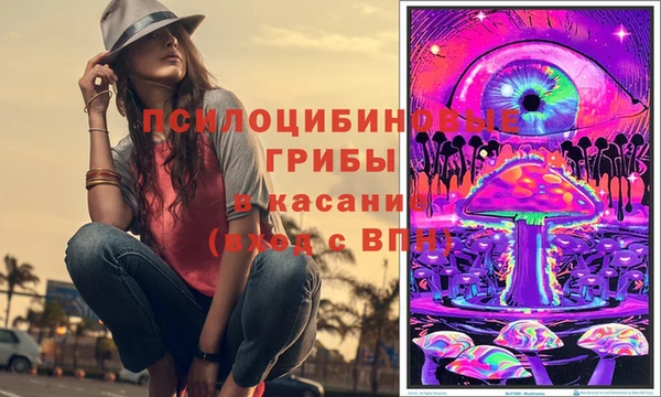 PSILOCYBIN Остров