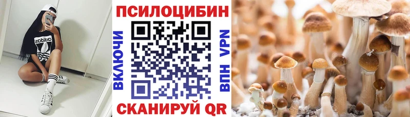 Галлюциногенные грибы мицелий  Тында 
